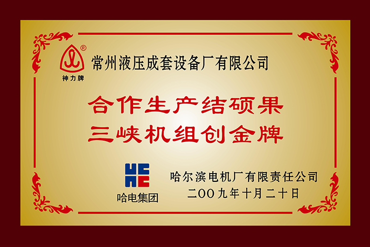 “合作生產(chǎn)結(jié)碩果三峽機(jī)組創(chuàng)金牌”稱號